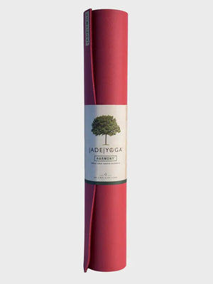 Raspberry