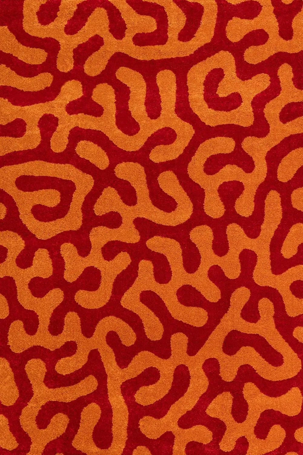 Joli Doodle Red & Orange Rug The Rugs