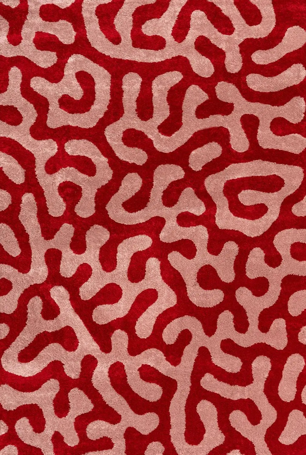 Joli Doodle Red & Pink Rug The Rugs