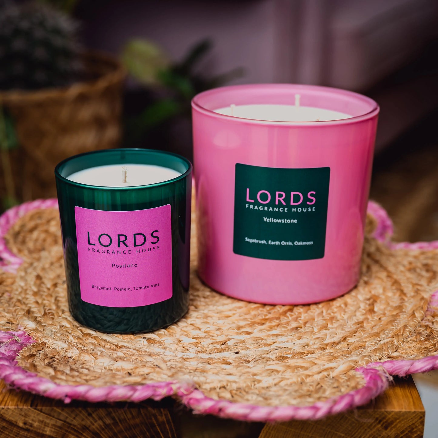 Kaikoura 3 Wick Candle LORDS Fragrance House