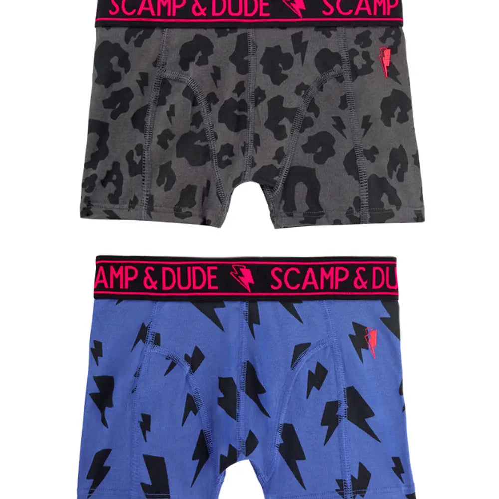 Kids 'Lucky Pants' Charity Boxers Scamp & Dude