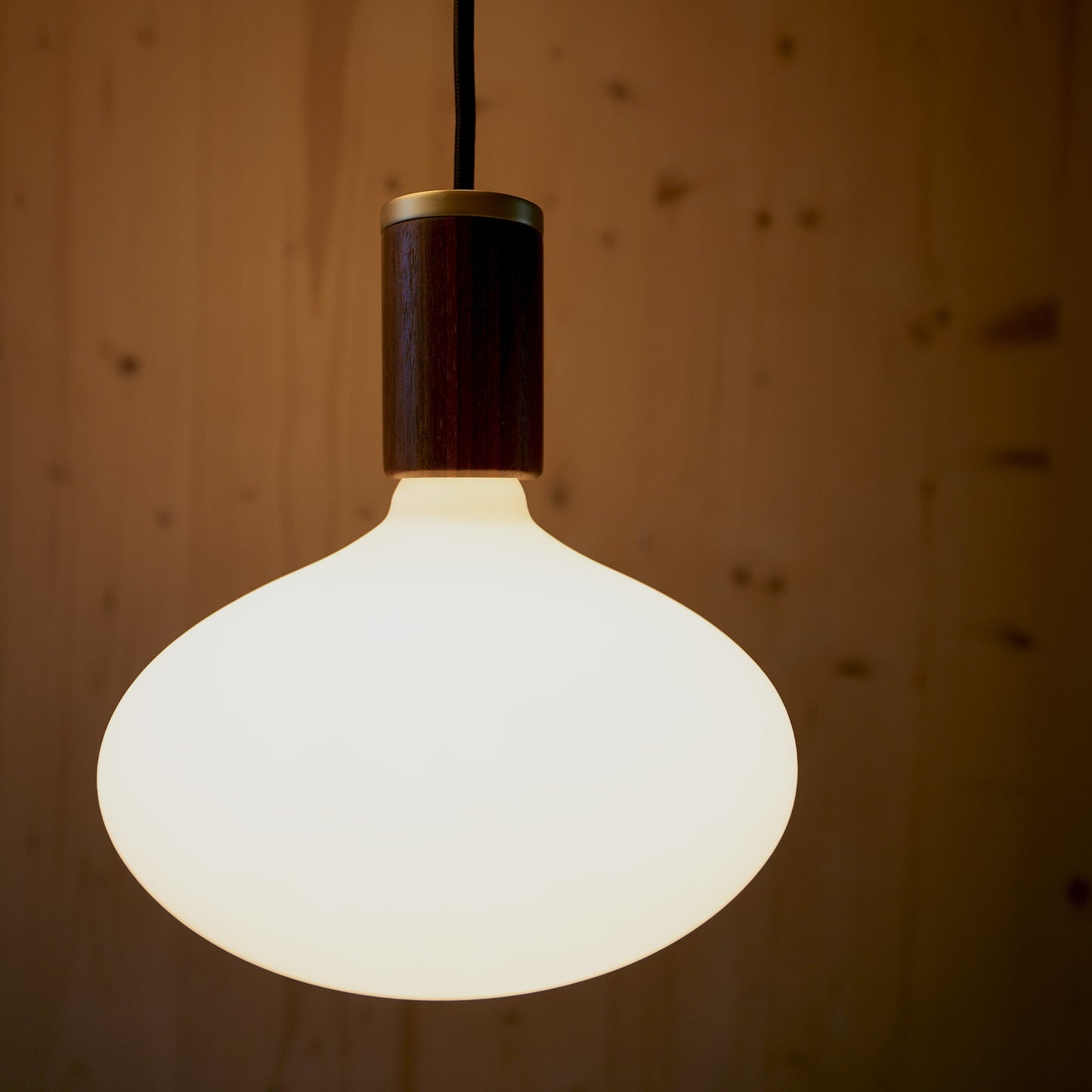 Oval II Pendant Light in Walnut Tala