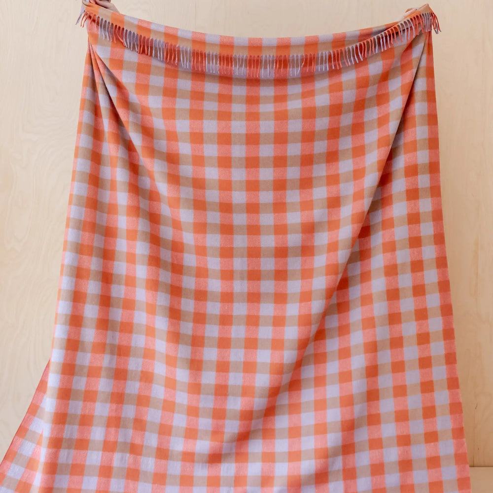 Lambswool Baby Blanket in Blue Stripe TartanBlanketCo