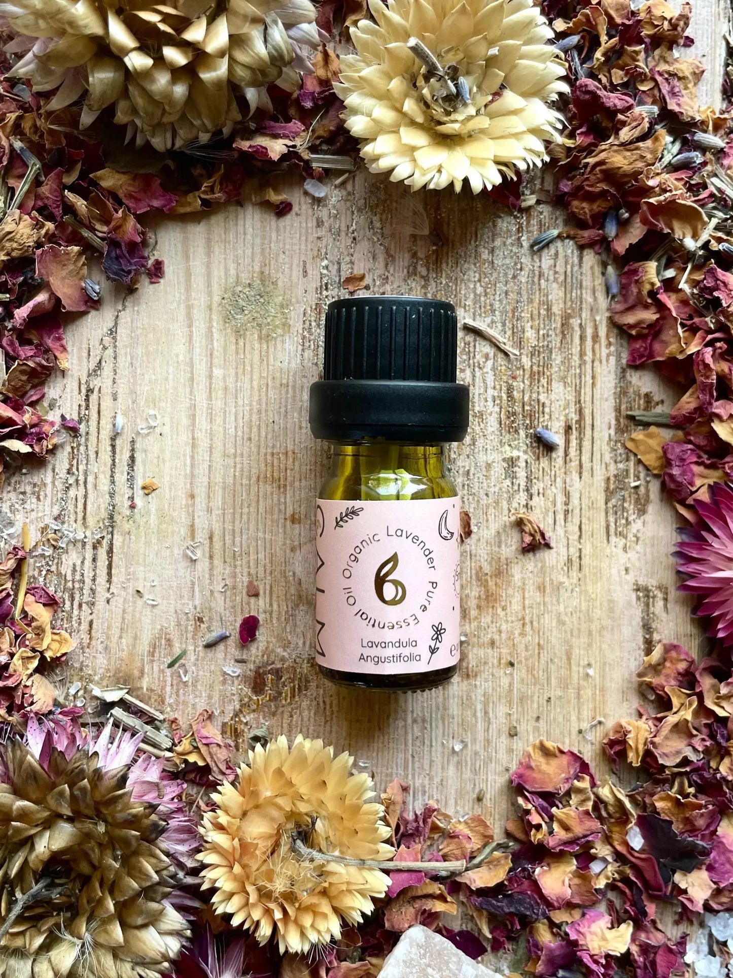 Lavender Organic Essential Oils UK bcalm