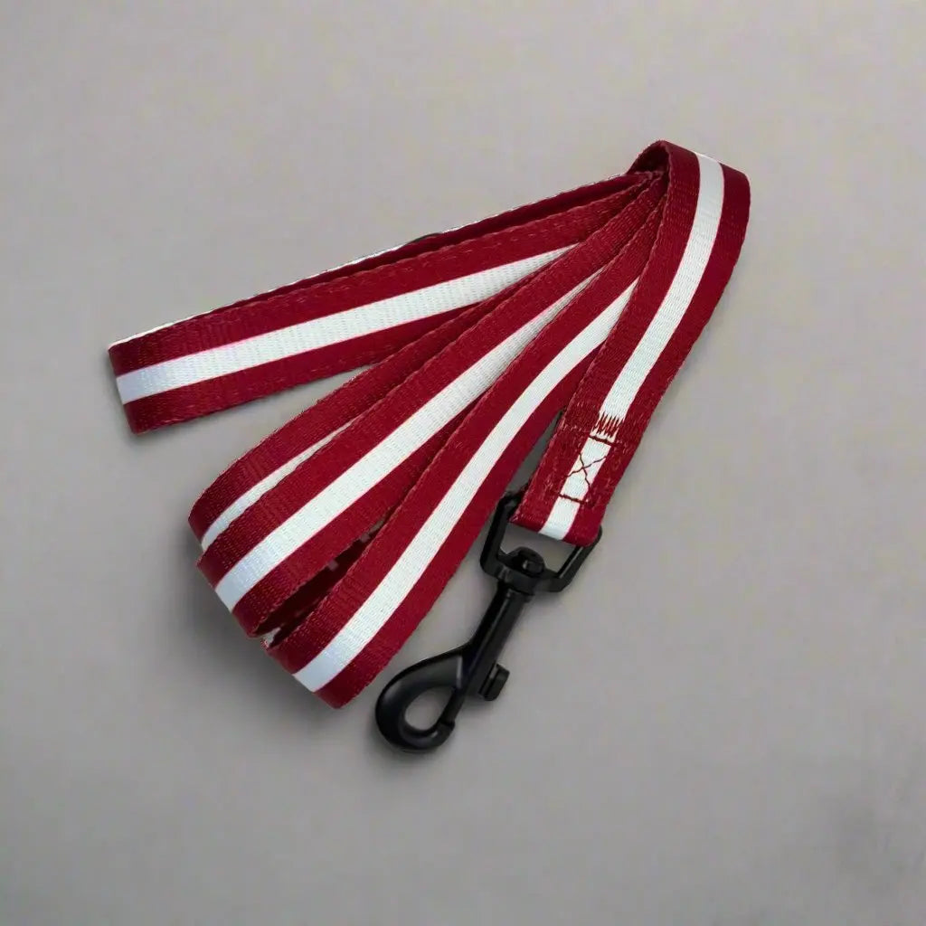 Lead - Berry red PupClub Couture