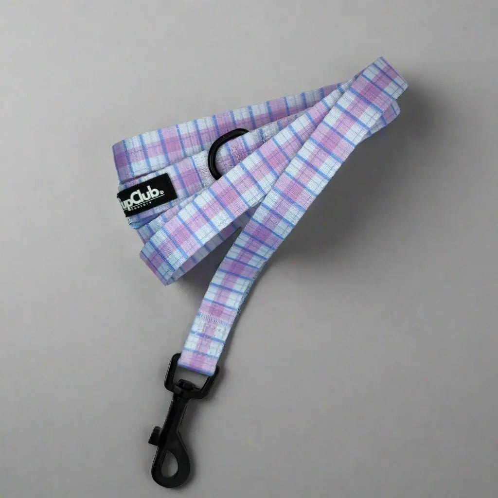 Lead - Pink Tartan PupClub Couture