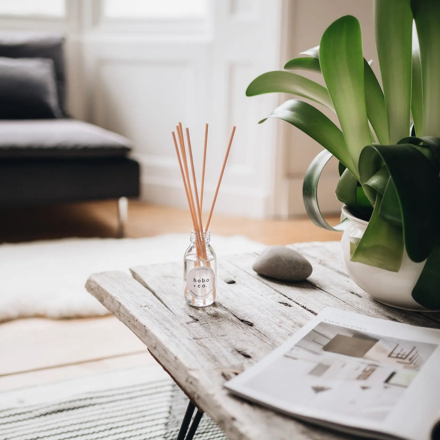 Lemongrass and Coconut Candle and Reed Diffuser Bundle hobo + co.