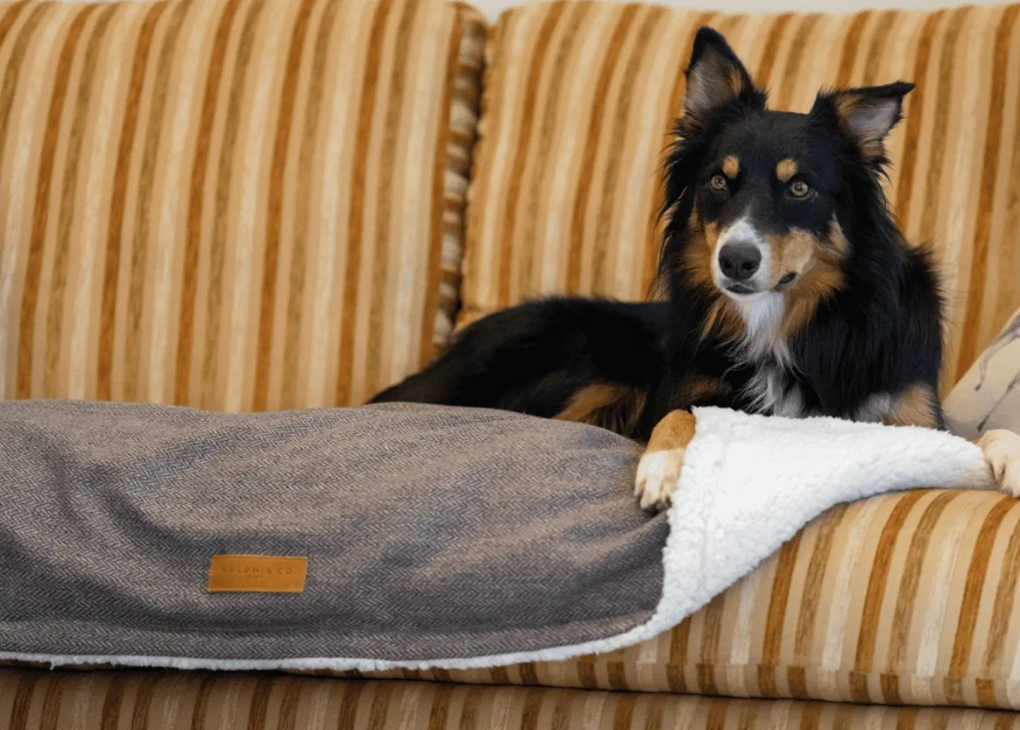Luxury Washable Tweed Dog Blanket | Lincoln Ralph & Co