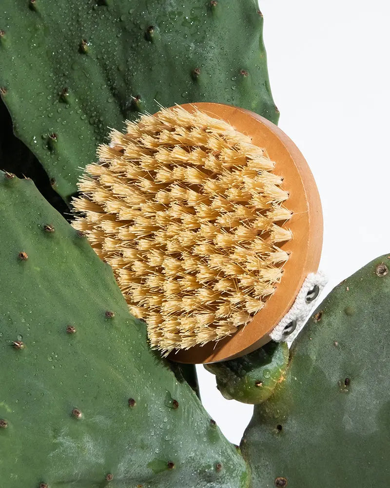 Lymph-Lite Dry Body Brush Legology