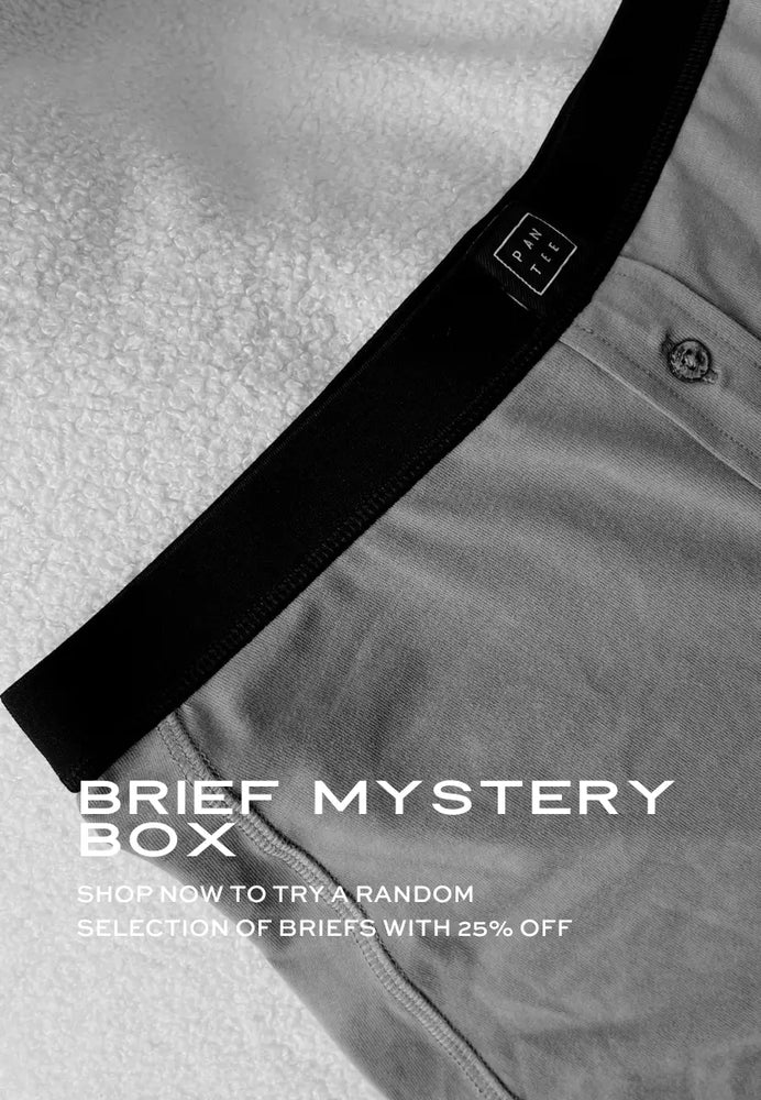 MYSTERY BOX: BRIEFS Pantee