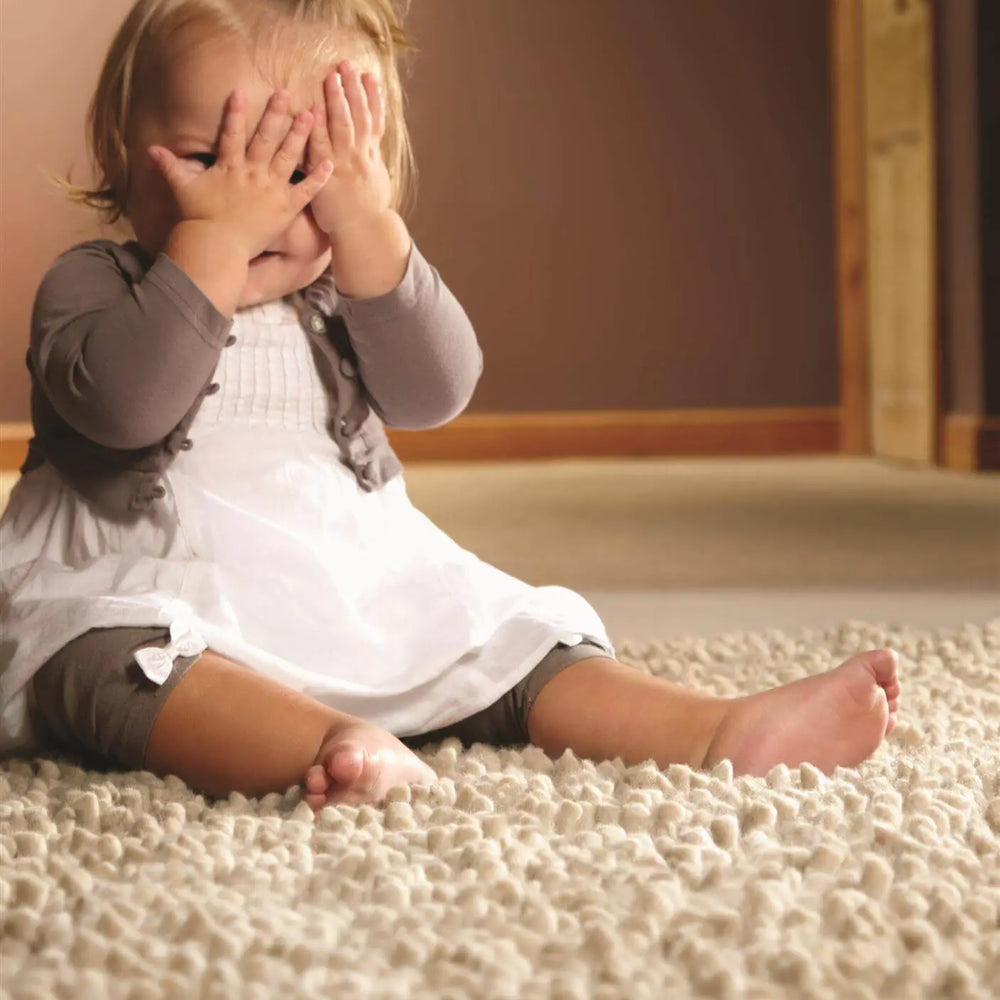 Maine Ivory Shaggy Pile Wool Rug The Rugs