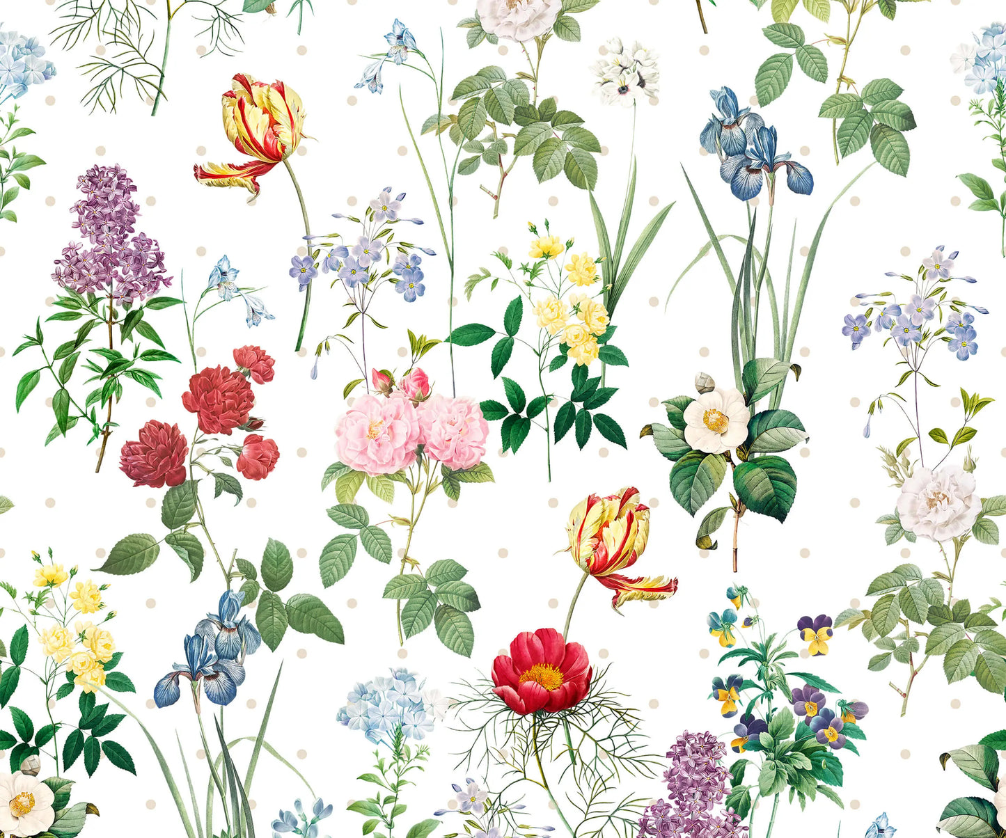 Marie Bobbi Beck