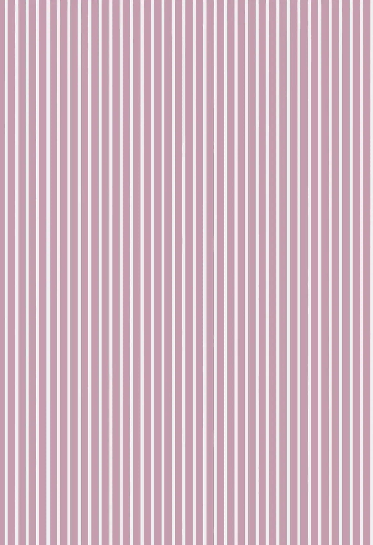 Mauve Stripe Women's Organic Cotton Cami Trouser Set Myza