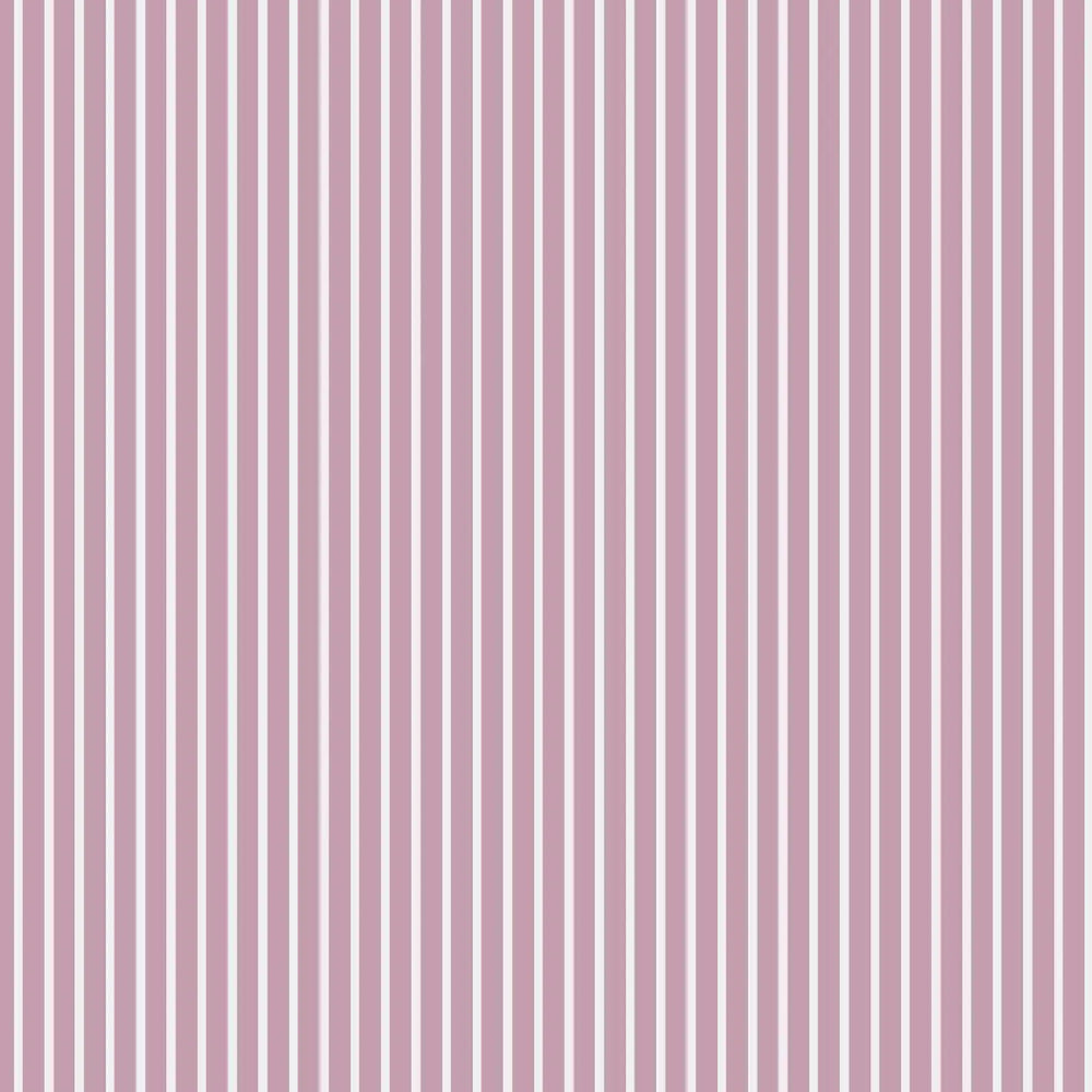 Stripe Women's Organic Cotton Pyjama Shorts Myza