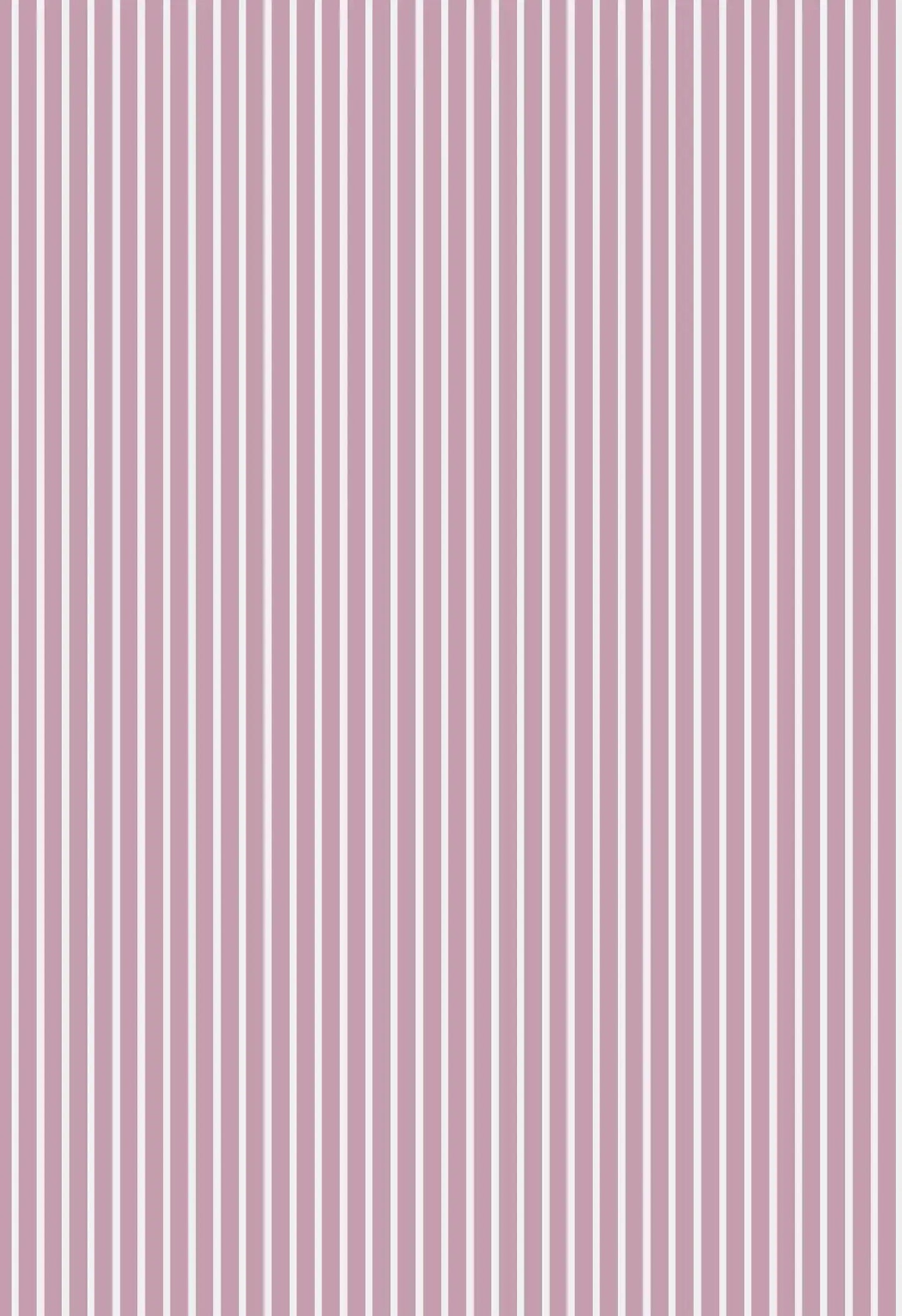 Stripe Women's Organic Cotton Pyjama Shorts Myza