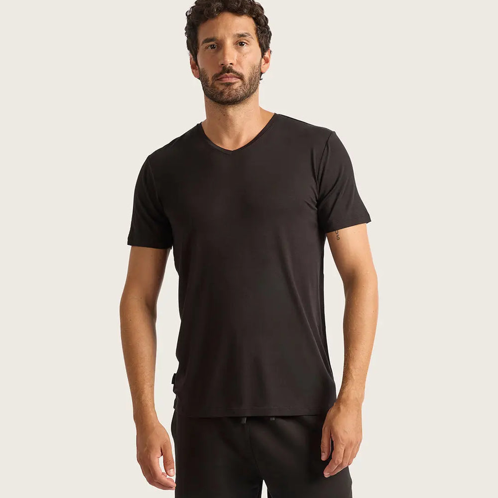 Men's V-Neck T-Shirt Boody