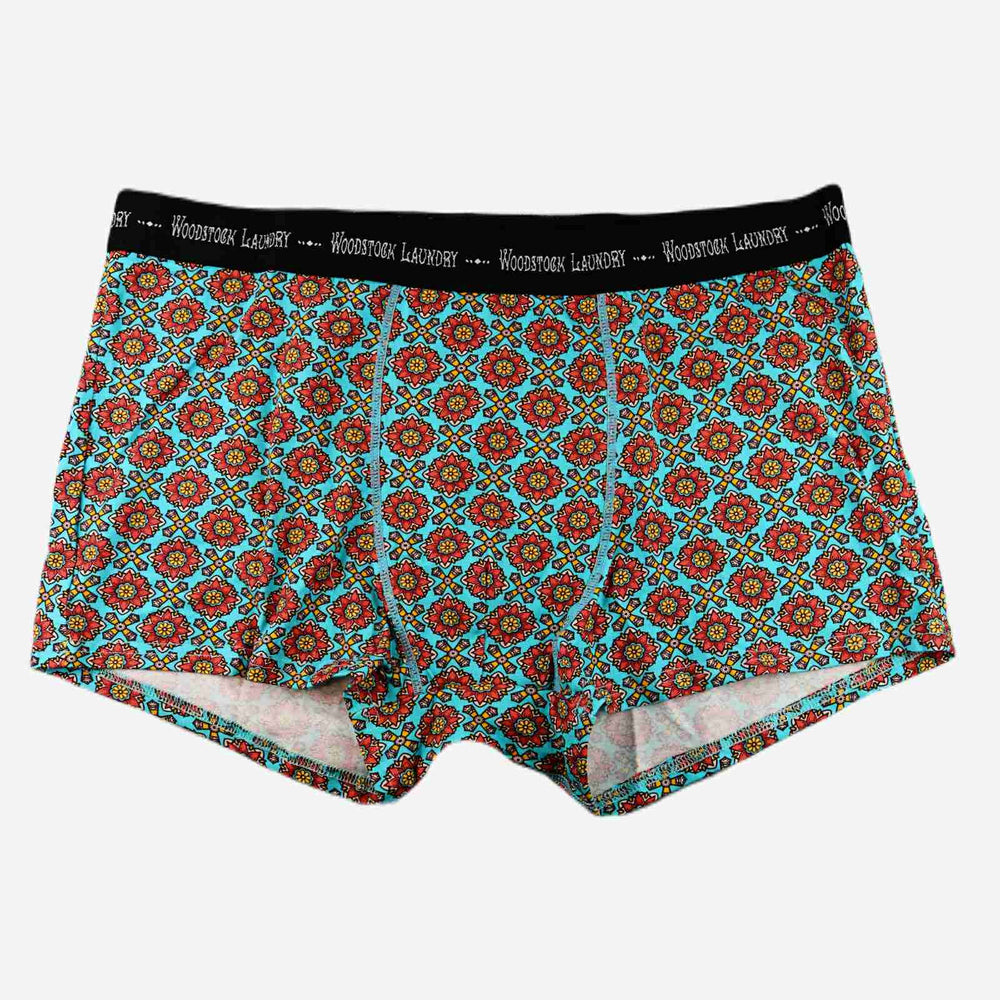 Mens Boxer Briefs - Funky Disco Woodstock Laundry