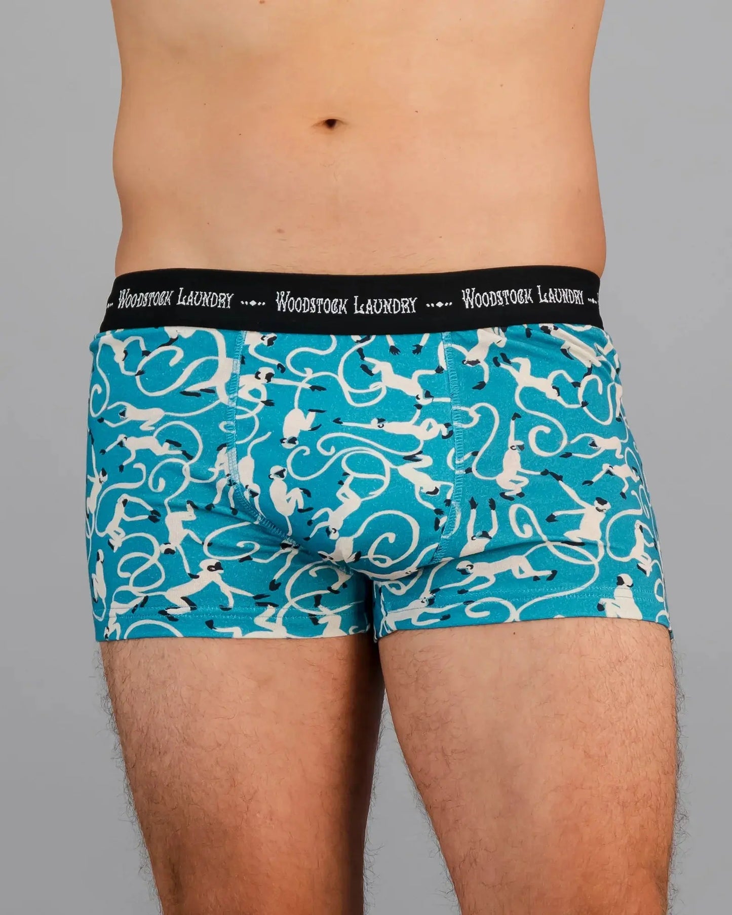 Mens Boxer Briefs - Monkeys Teal Woodstock Laundry