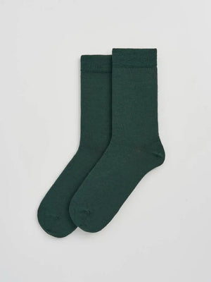 Deep Forest Green