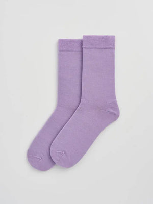 Parma Violet