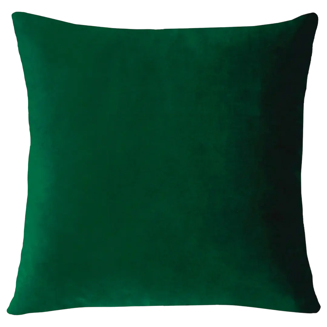 Miami Needlepoint Cushion The Pillow Drop