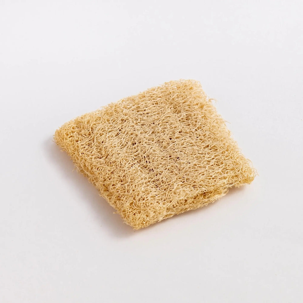 Natural Loofah Dishwashing Sponges - Set of 3 Eco Bath London