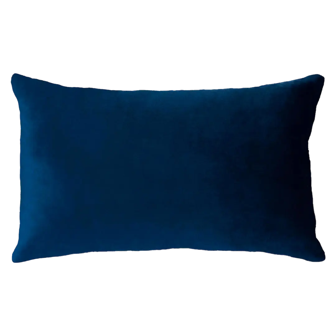 Netflix & Chill Needlepoint Cushion The Pillow Drop