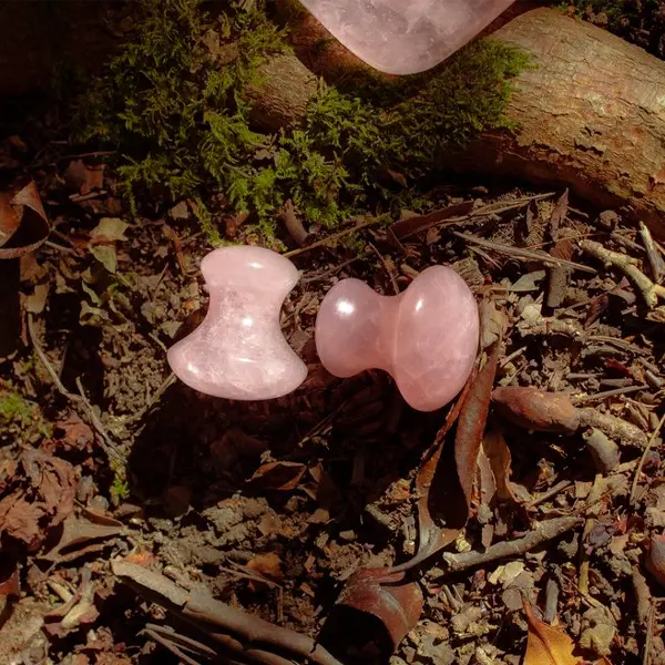 Niobe Mushrooms / Rose Quartz Earth To You