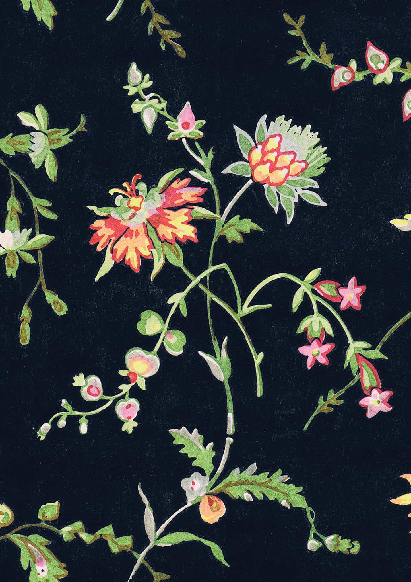 No.016 - Midnight Blooms - Vintage Archive Poster Prints Print~Sisters