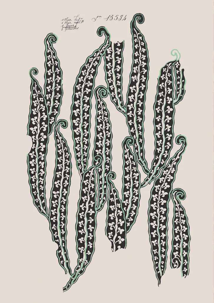 No.067 - Magic Beans II  - Vintage Archive Poster Prints Print~Sisters