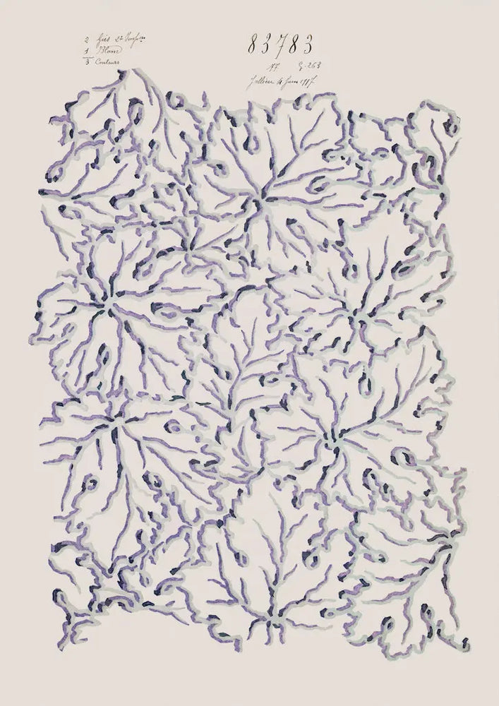 No.099 - Ethereal Leaves - Vintage Archive Poster Prints Print~Sisters