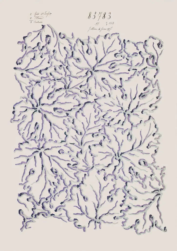 No.099 - Ethereal Leaves - Vintage Archive Poster Prints Print~Sisters