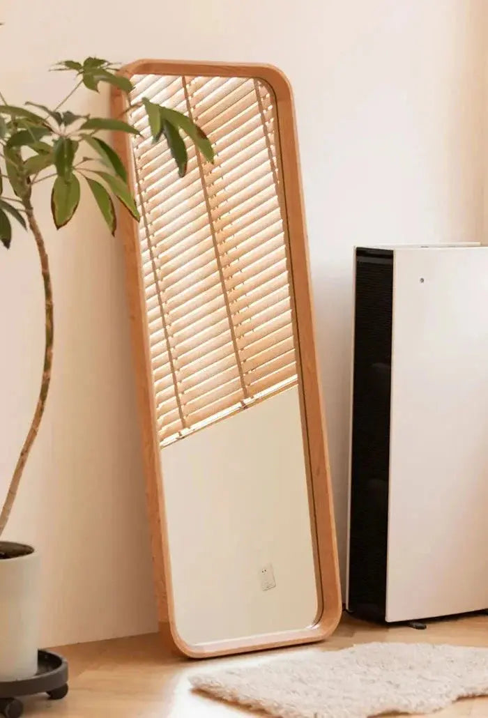 Okemia Mirror Nisu Home