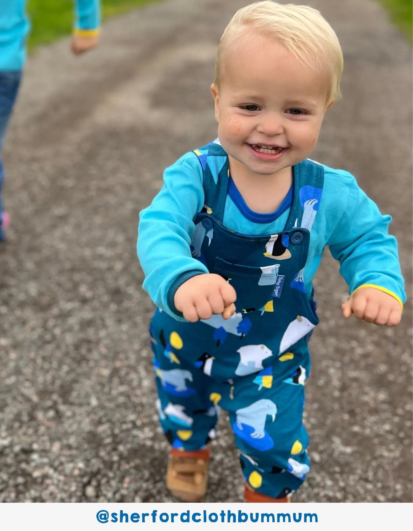 Organic Arctic Print Dungarees Toby Tiger
