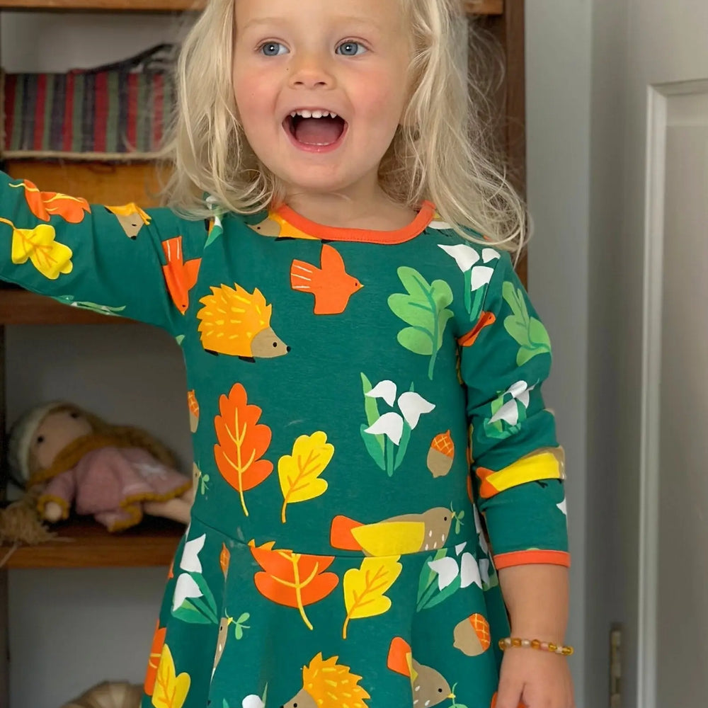 Organic Autumn Print Skater Dress Toby Tiger