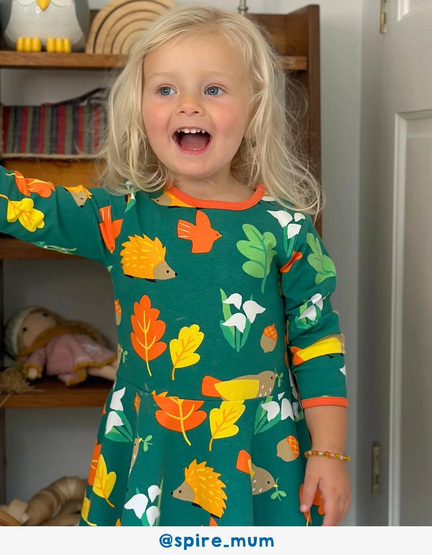 Organic Autumn Print Skater Dress Toby Tiger