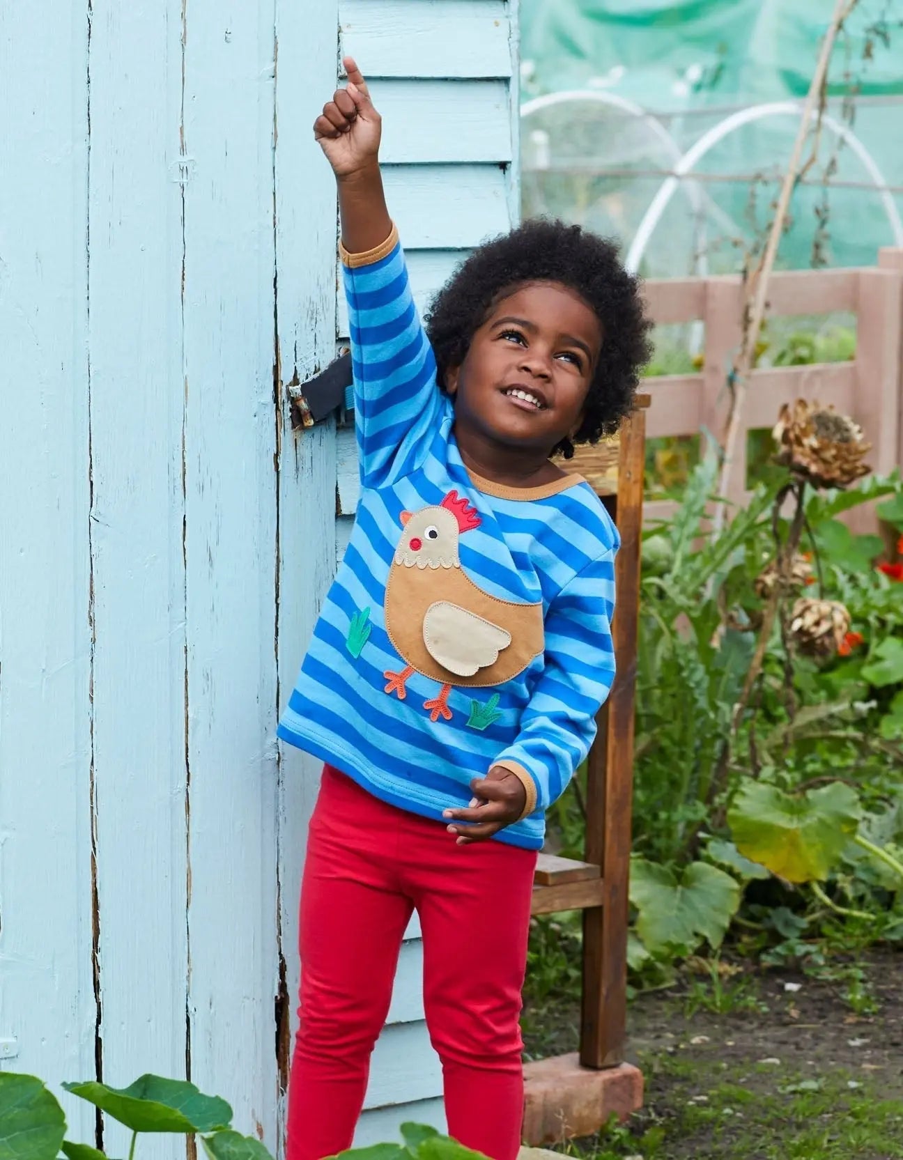Organic Clucky Chicken Applique Long-Sleeved T-Shirt Toby Tiger