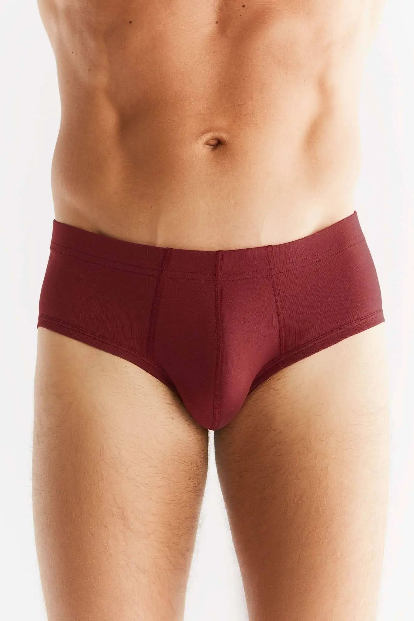 Organic Cotton Briefs: Mens Earth Wardrobe