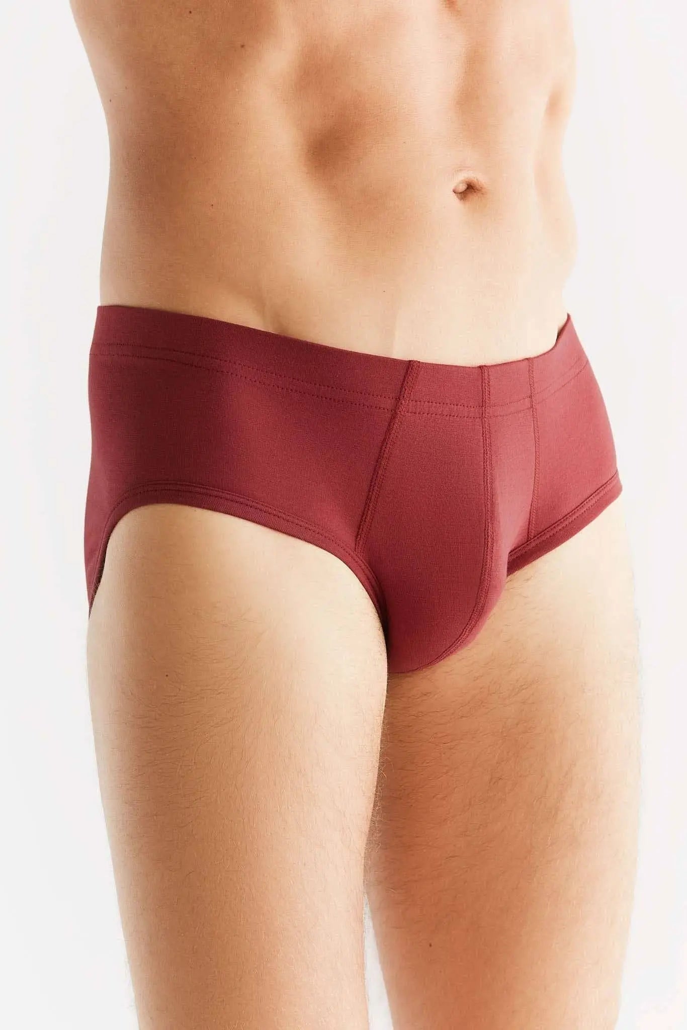 Organic Cotton Briefs: Mens Earth Wardrobe