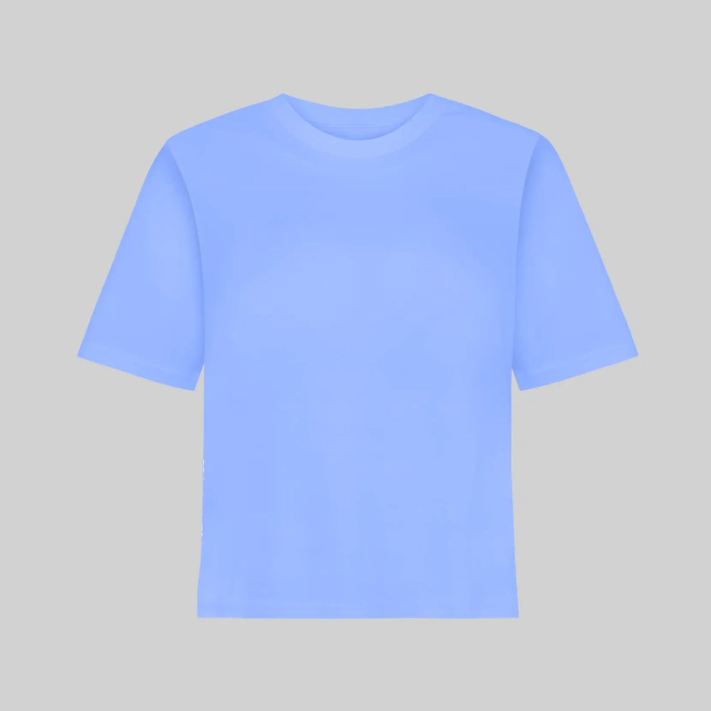 Organic Cotton Relaxed Fit T-Shirt, Cornflower Blue Pantee