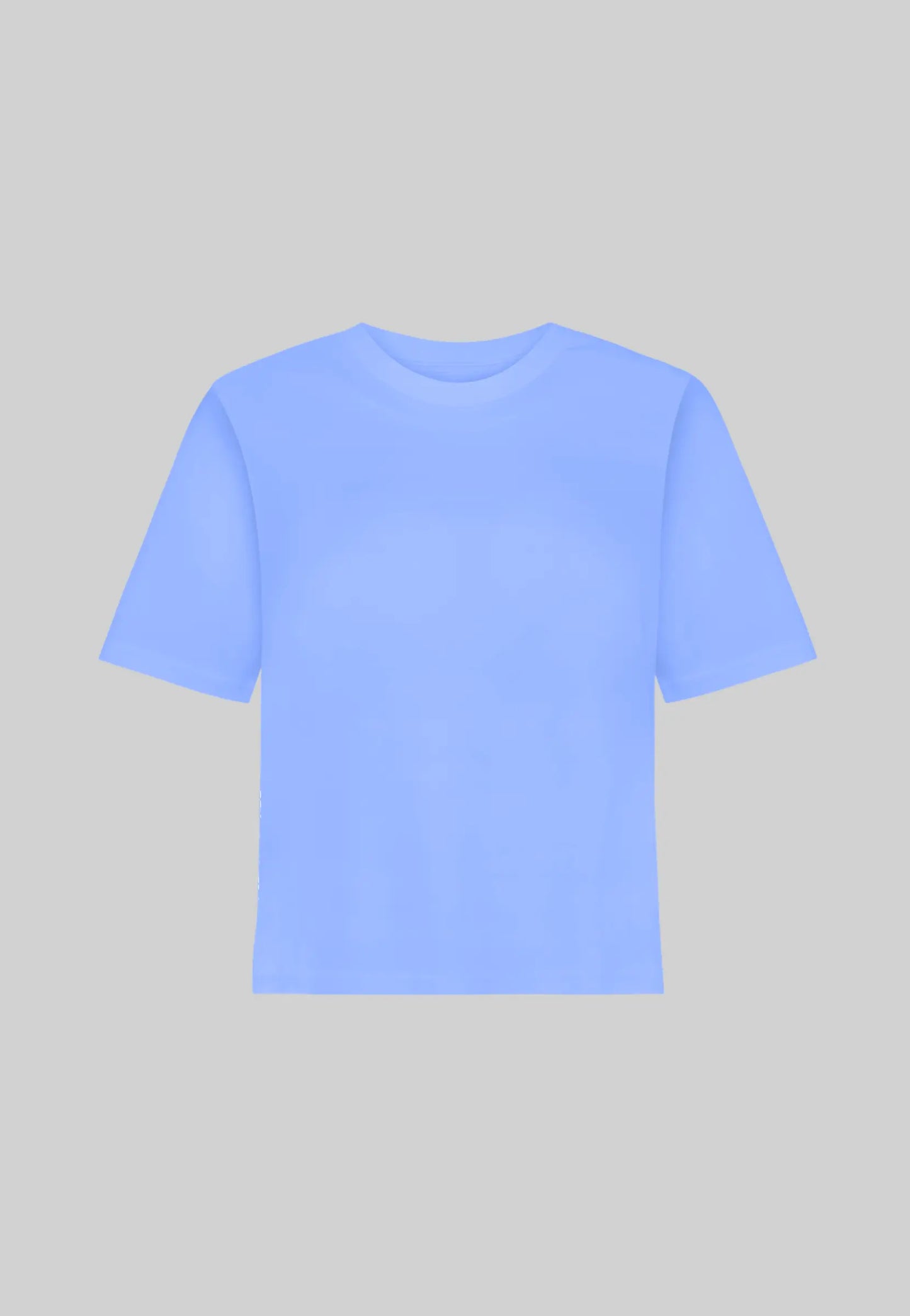 Organic Cotton Relaxed Fit T-Shirt, Cornflower Blue Pantee