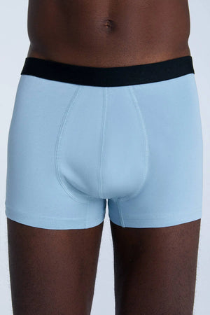 Grey-blue