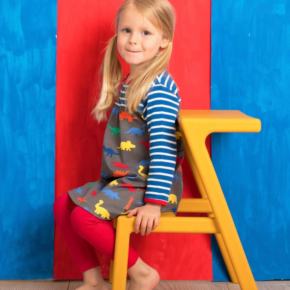 Organic Dinosaur Print Dress Toby Tiger