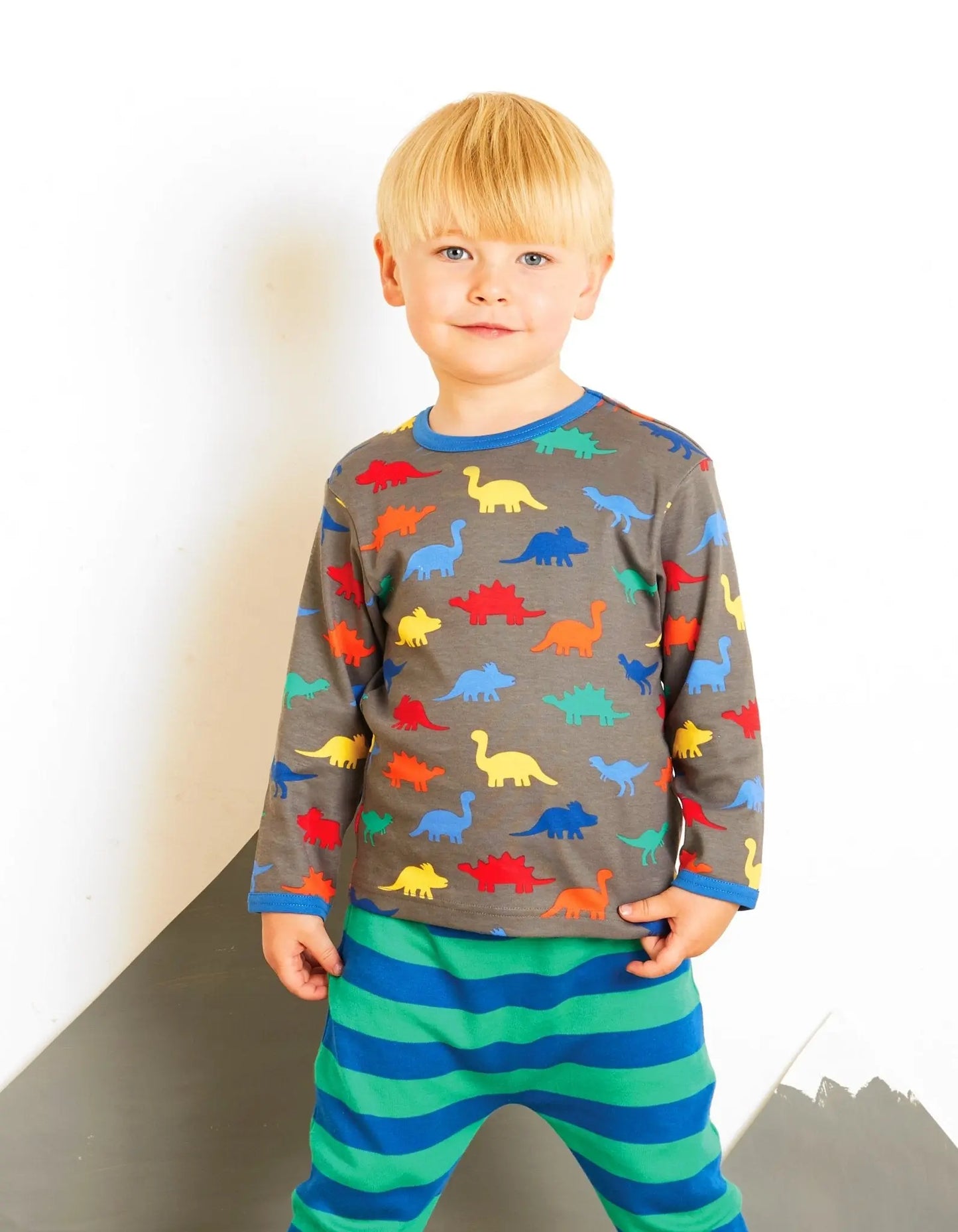 Organic Dinosaur Print Long-Sleeved T-Shirt Toby Tiger
