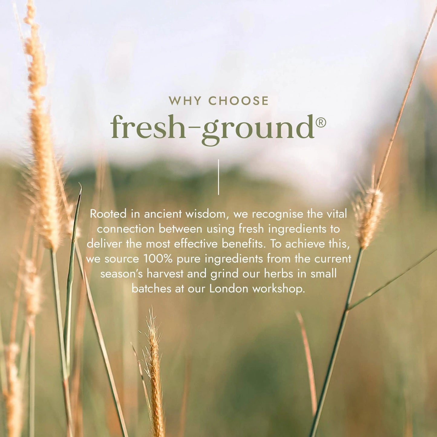 Organic Guduchi (Giloy/Amrita) Fushi Wellbeing