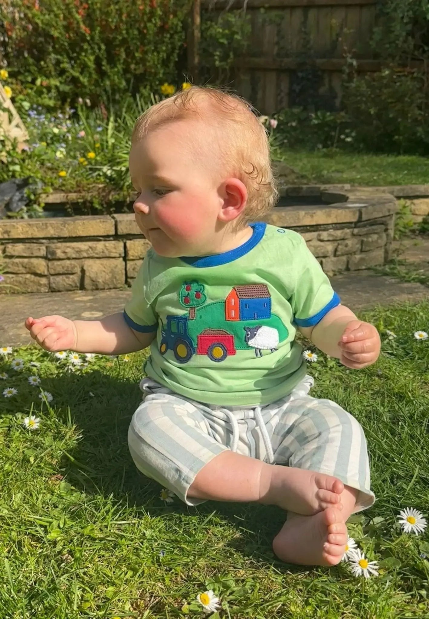 Organic Hillside Applique Short-Sleeved T-Shirt Toby Tiger