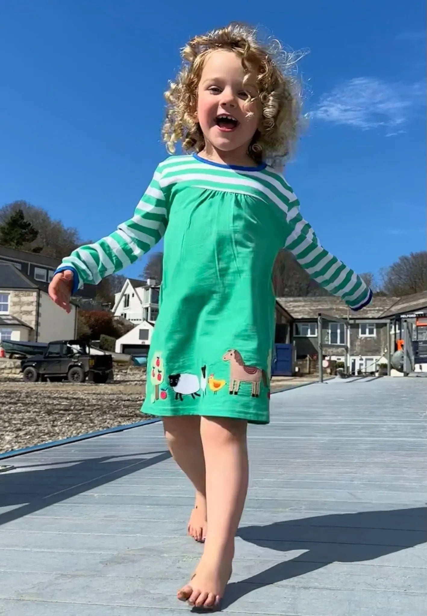 Organic Hillside Applique T-shirt Dress Toby Tiger