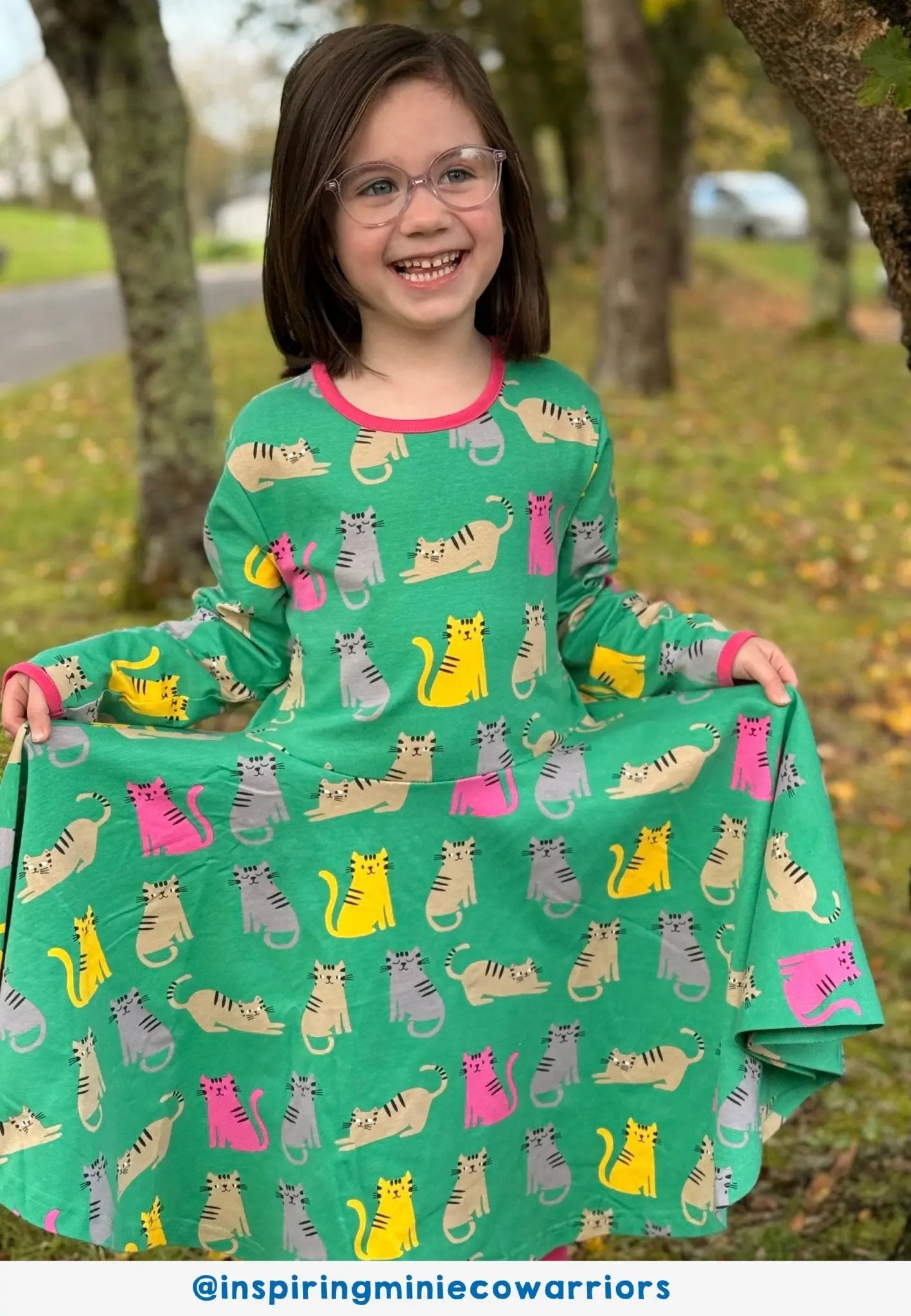 Organic Kitten Print Skater Dress Toby Tiger