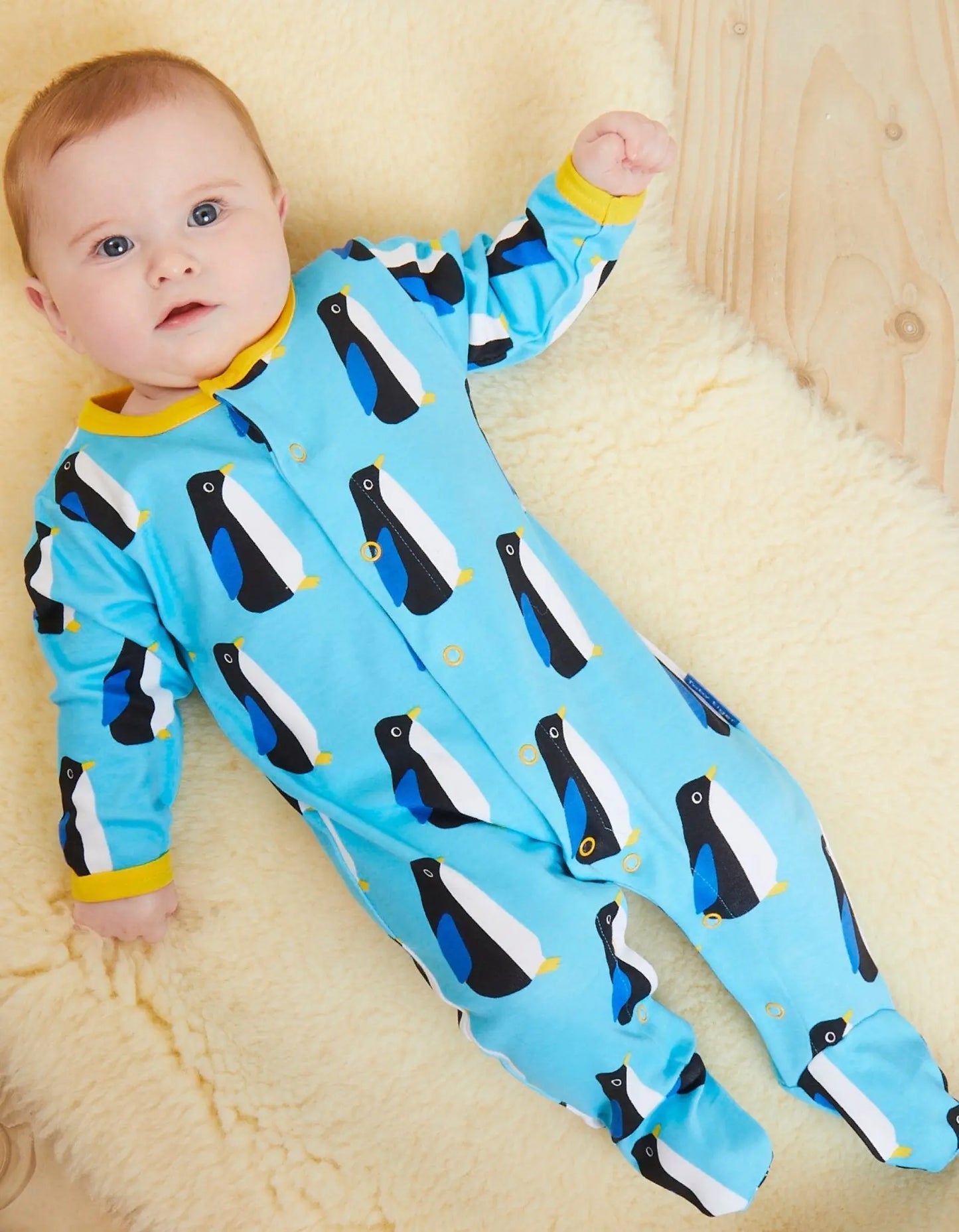 Organic Penguin Print Baby Gift Set Toby Tiger