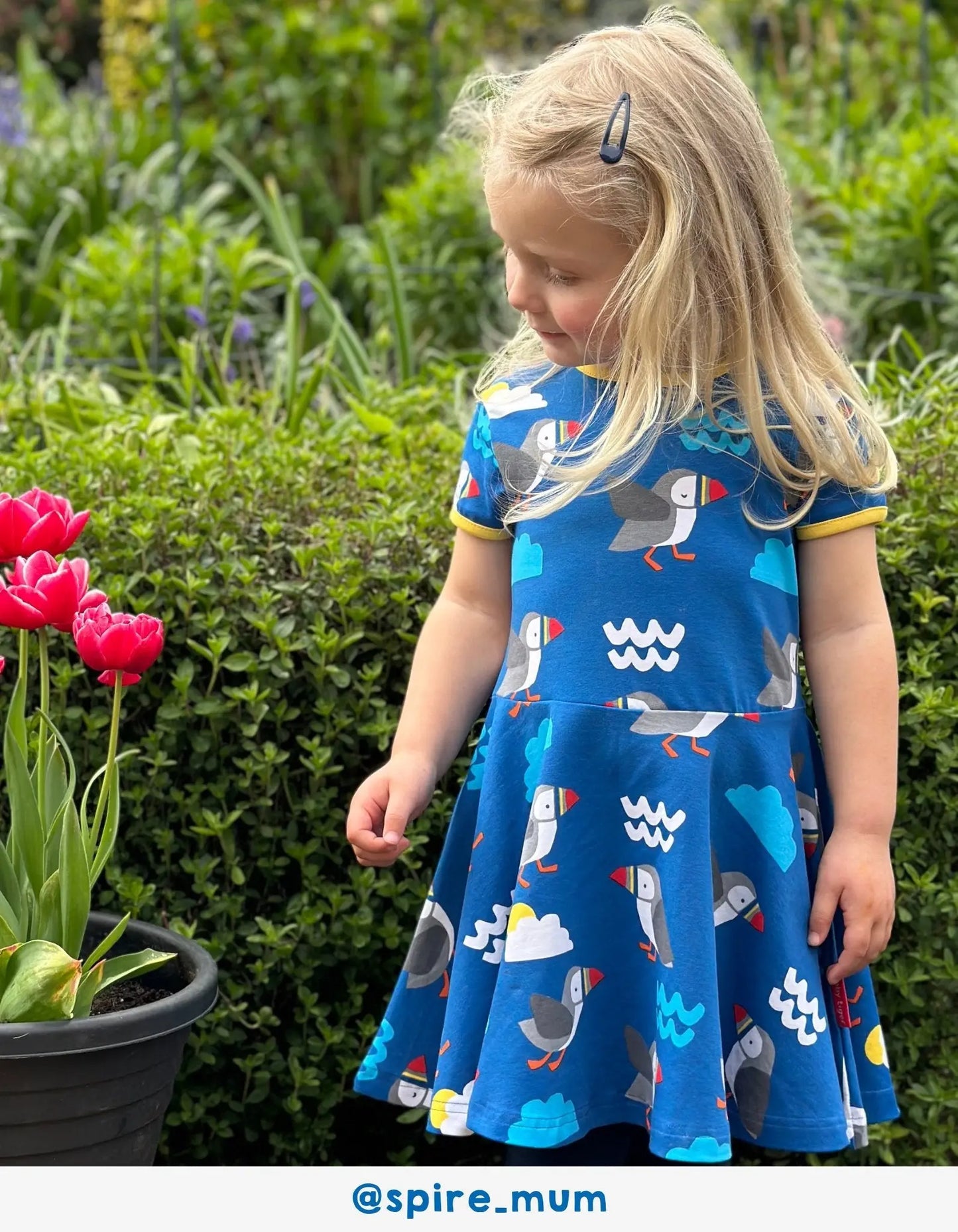 Organic Puffin Print Skater Dress Toby Tiger